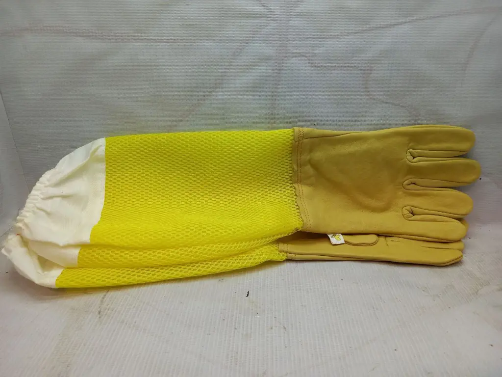 تصویر شماره 2 محصول 