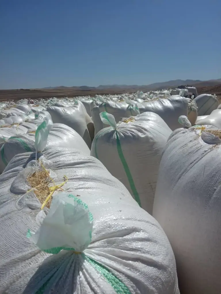 تصویر شماره 1 محصول 