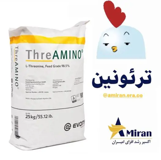 تصویر شماره 1 محصول 