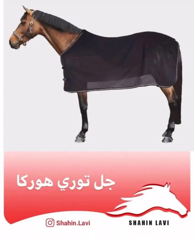 تصویر شماره 1 محصول 