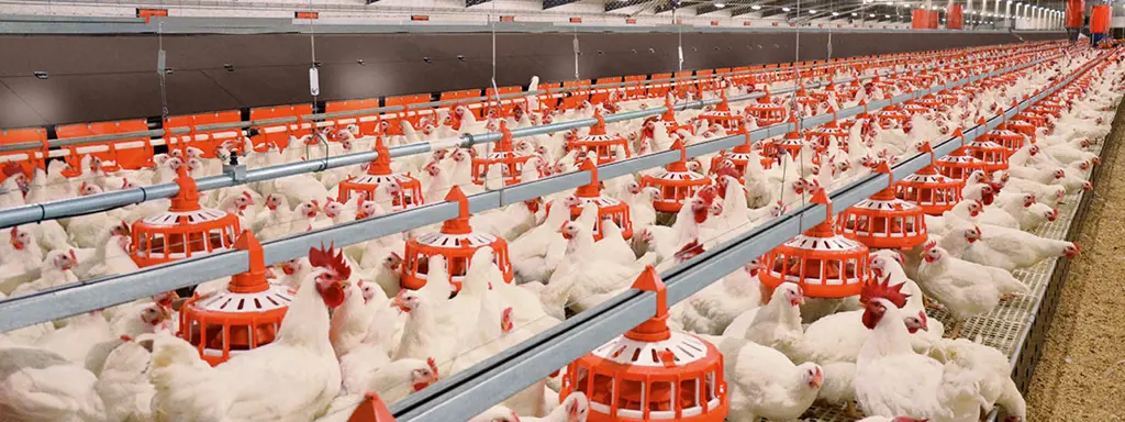 تصویر شماره 1 محصول 