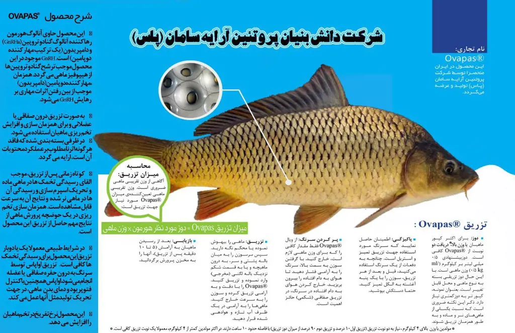 تصویر شماره 2 محصول 