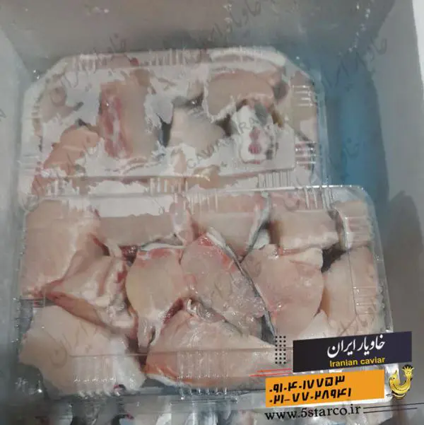 تصویر شماره 2 محصول 