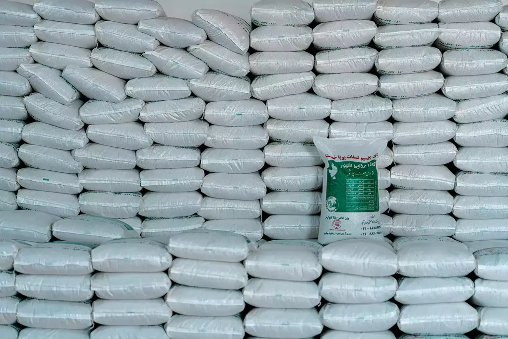 تصویر شماره 1 محصول 