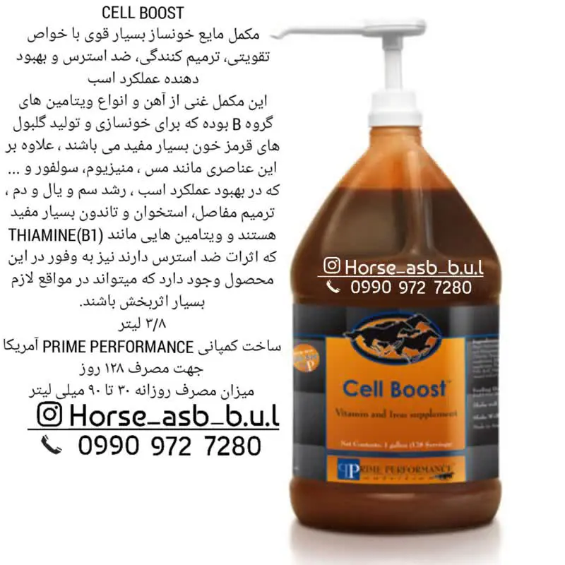 تصویر شماره 1 محصول 