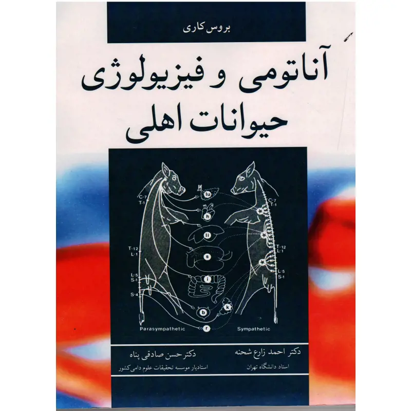 تصویر شماره 1 محصول 