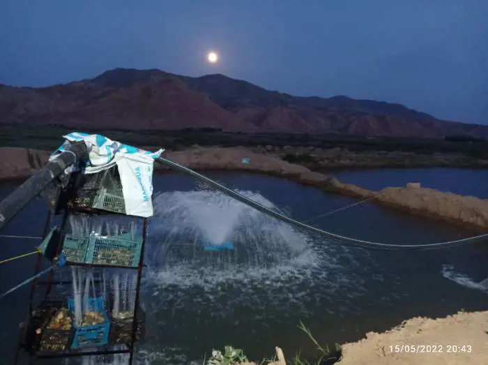 تصویر شماره 1 محصول 