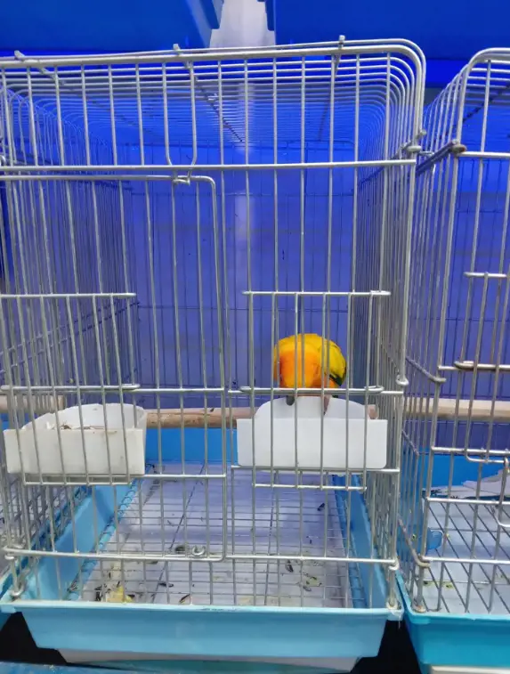 تصویر شماره 2 محصول 