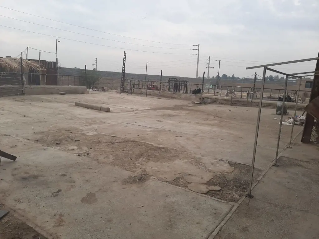 تصویر شماره 2 محصول 