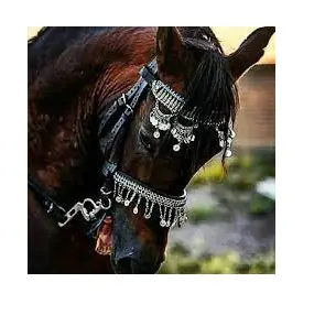 تصویر شماره 2 محصول 