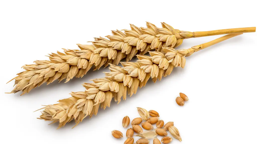 تصویر شماره 1 محصول 