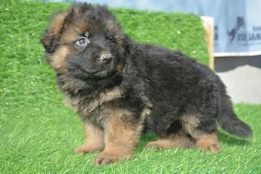 تصویر شماره 3 محصول 