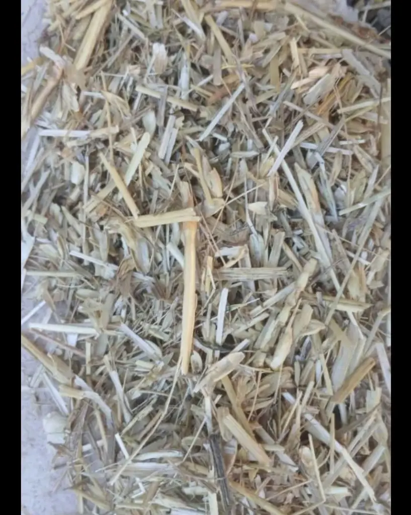 تصویر شماره 1 محصول 