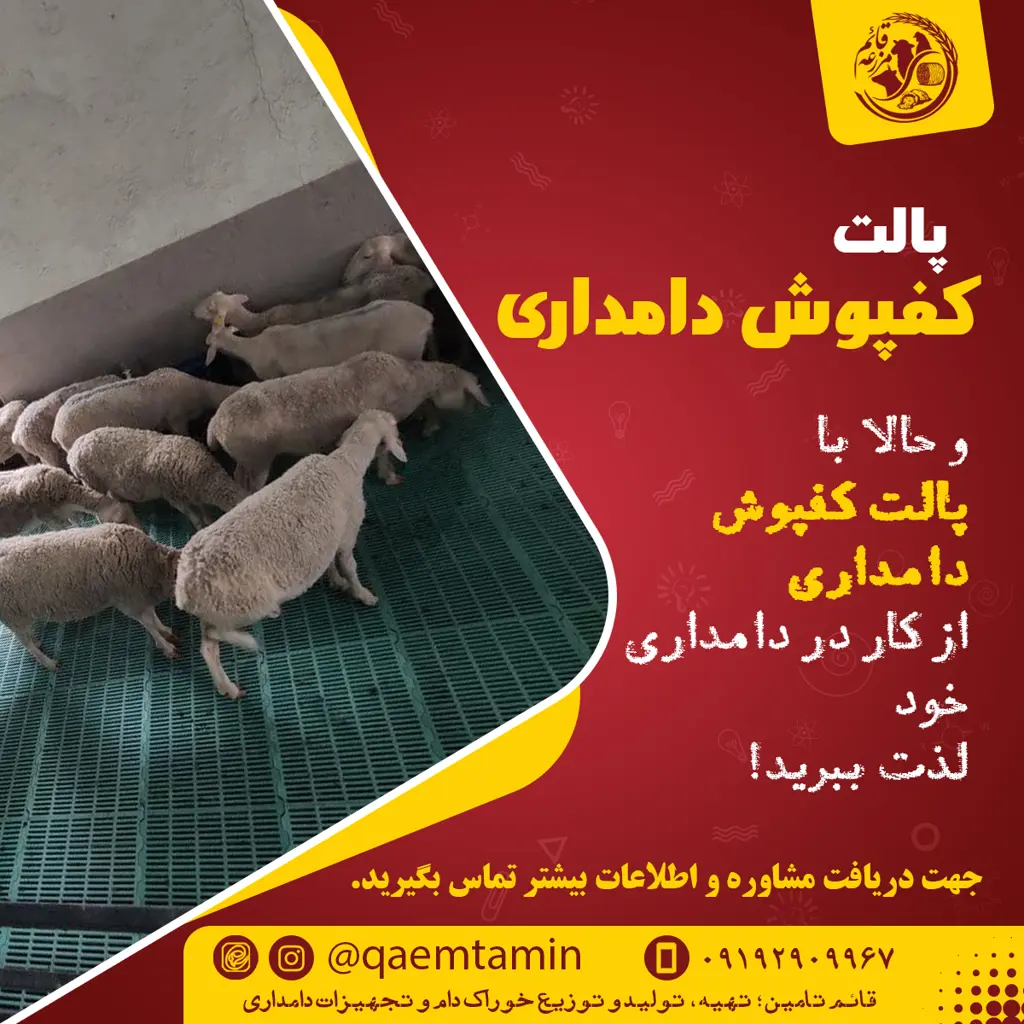 تصویر شماره 3 محصول 