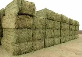 تصویر شماره 1 محصول 