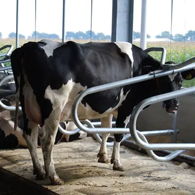 تصویر شماره 2 محصول 