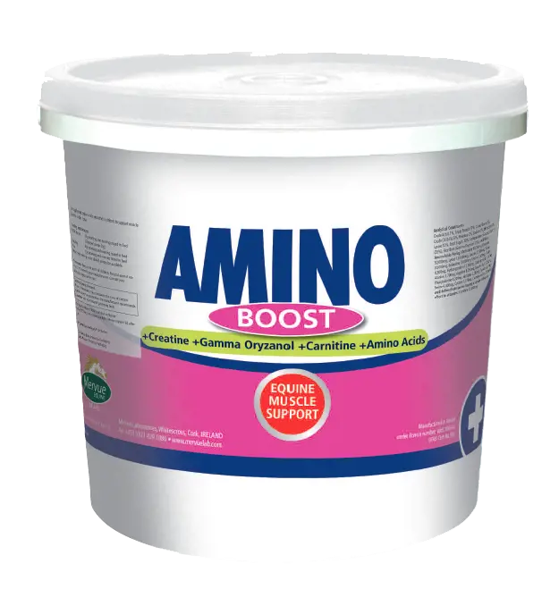 تصویر شماره 2 محصول 