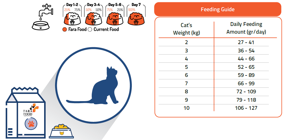 تصویر شماره 2 محصول 