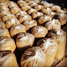 تصویر شماره 1 محصول 