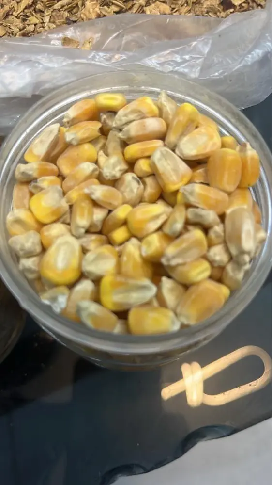 تصویر شماره 1 محصول 