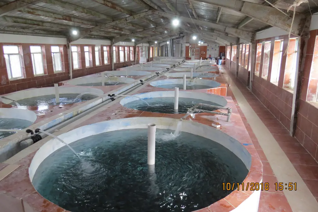 تصویر شماره 1 محصول 