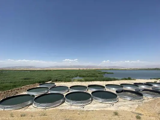 تصویر شماره 3 محصول 