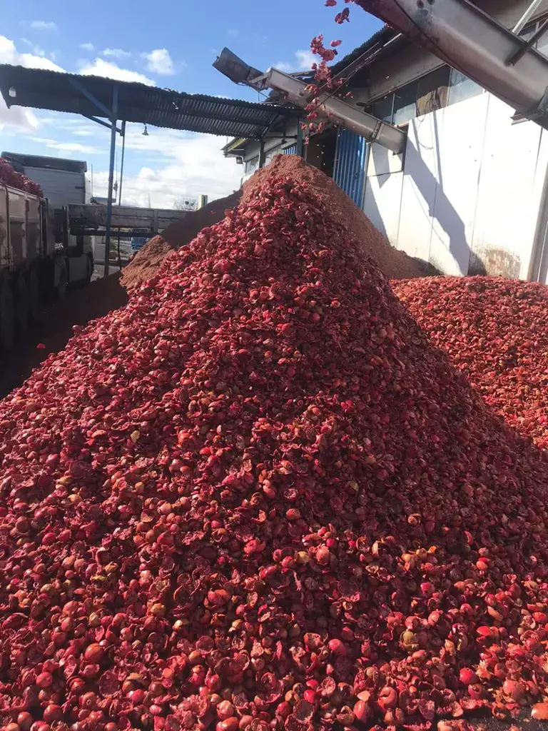 تصویر شماره 1 محصول 