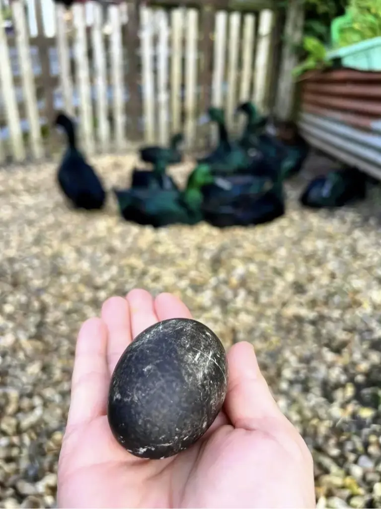 تصویر شماره 3 محصول 