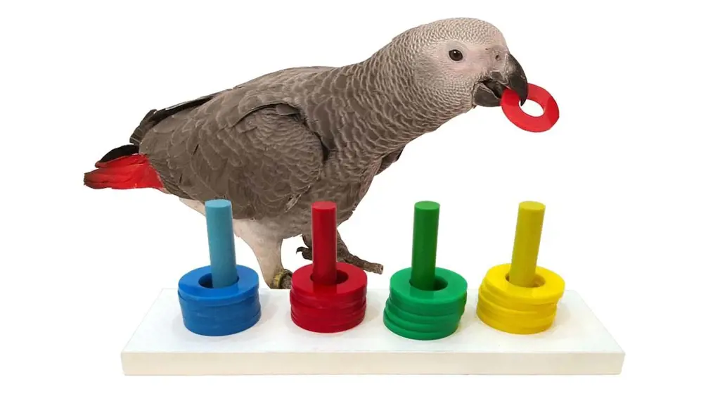 تصویر شماره 3 محصول 