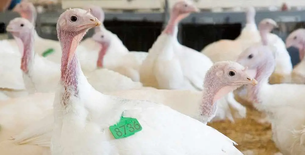 تصویر شماره 3 محصول 