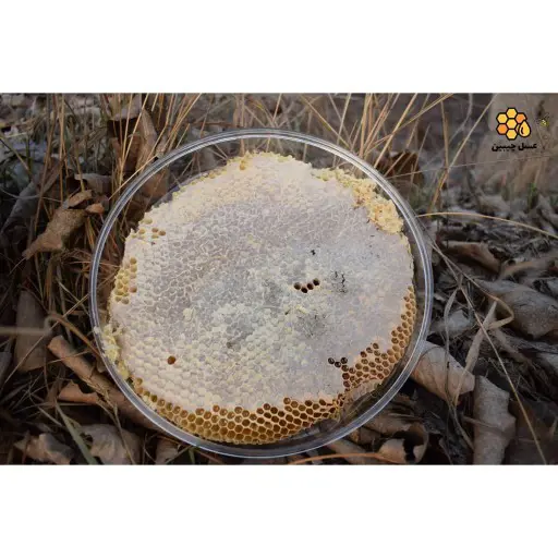 تصویر شماره 2 محصول 