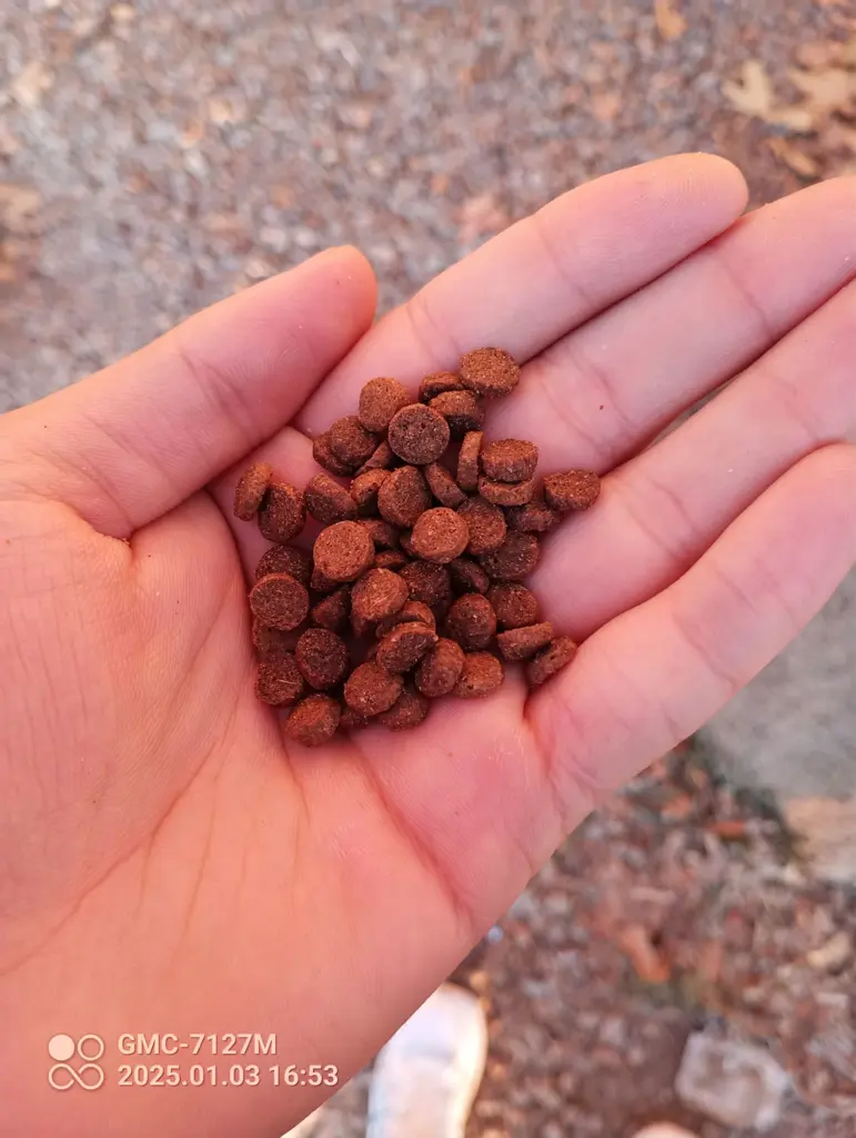 تصویر شماره 3 محصول 