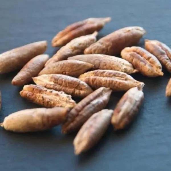 تصویر شماره 1 محصول 