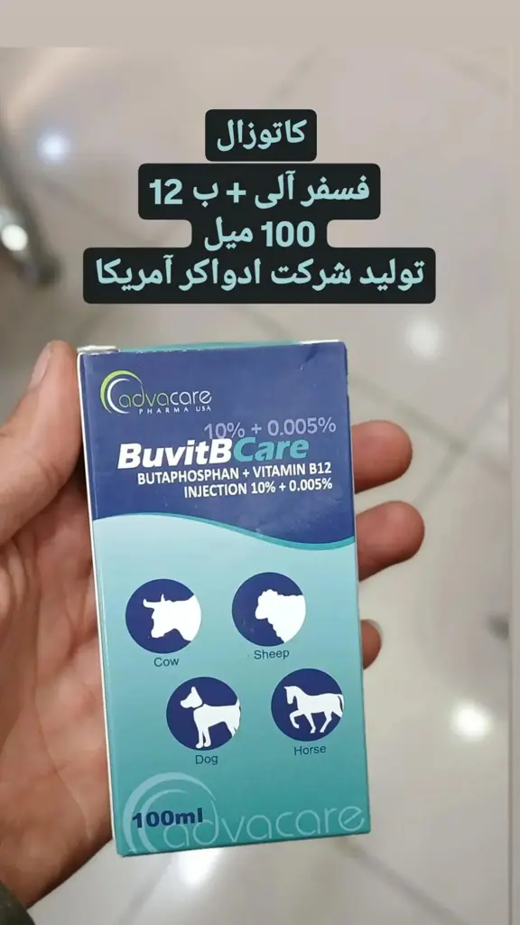 تصویر شماره 1 محصول 