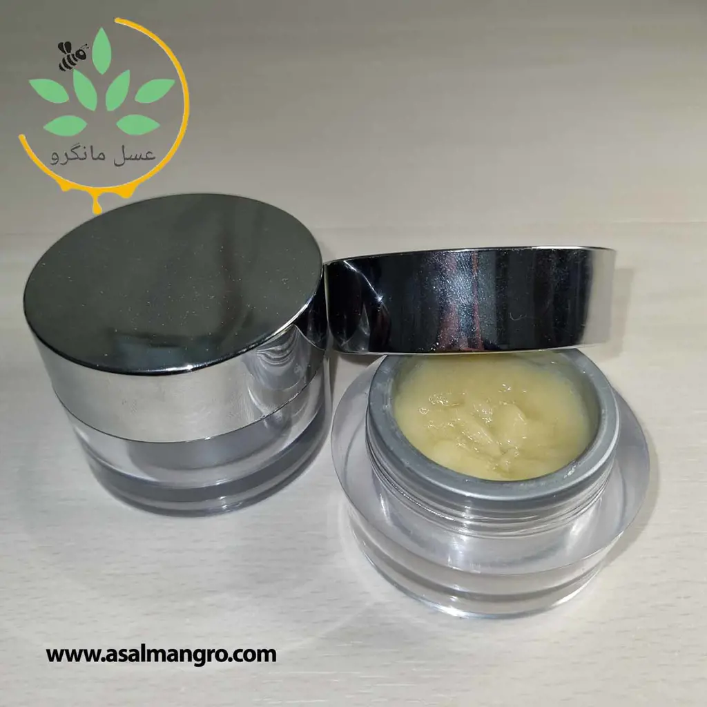 تصویر شماره 1 محصول 