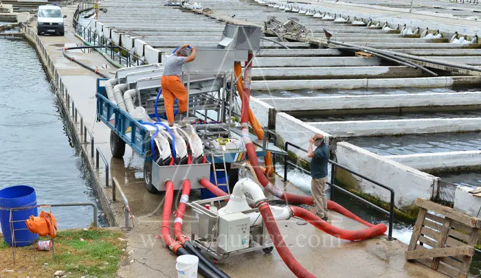 تصویر شماره 2 محصول 