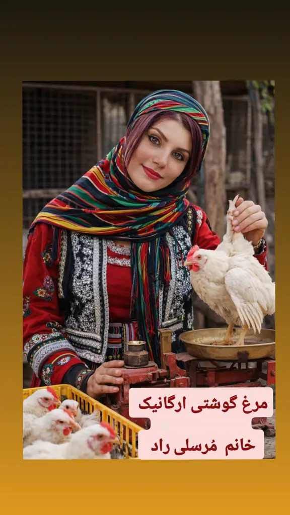 تصویر شماره 2 محصول 