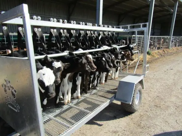 تصویر شماره 2 محصول 