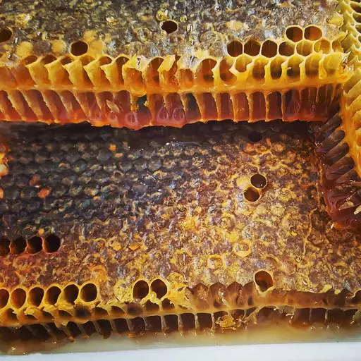 تصویر شماره 1 محصول 