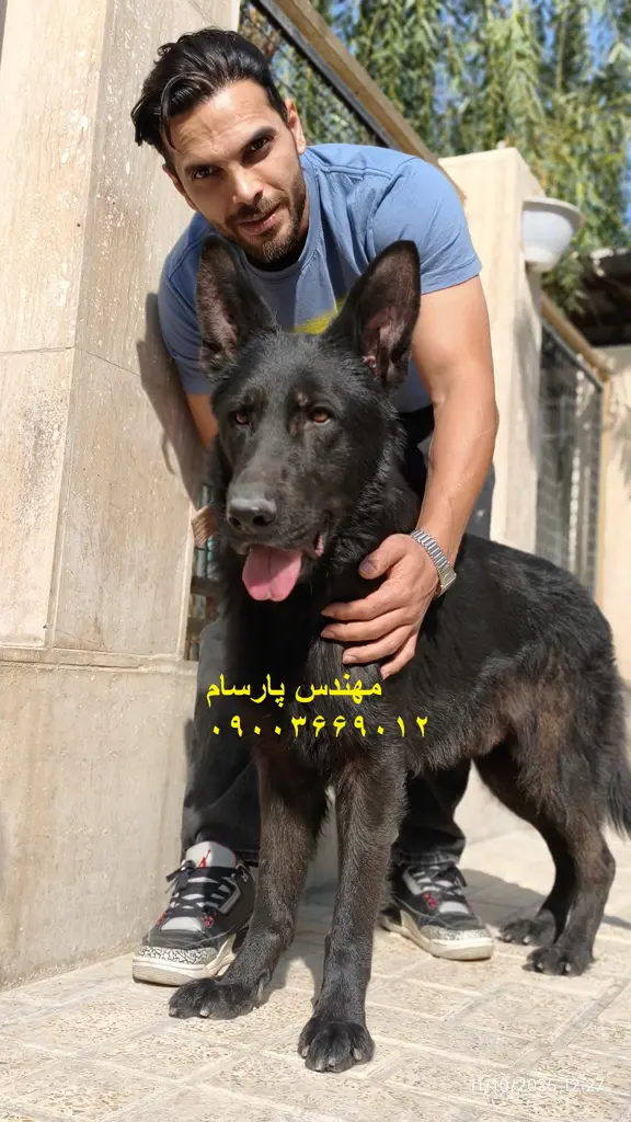 تصویر شماره 1 محصول 