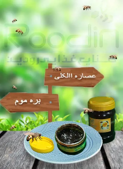 تصویر شماره 1 محصول 