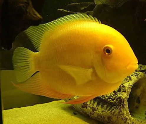 تصویر شماره 2 محصول 