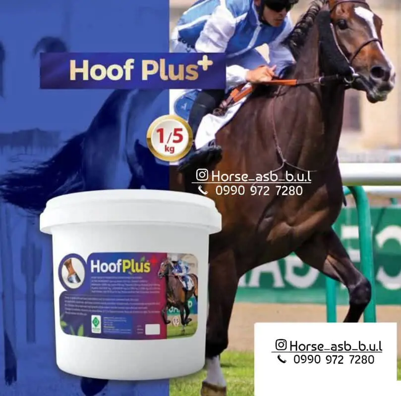 تصویر شماره 1 محصول 