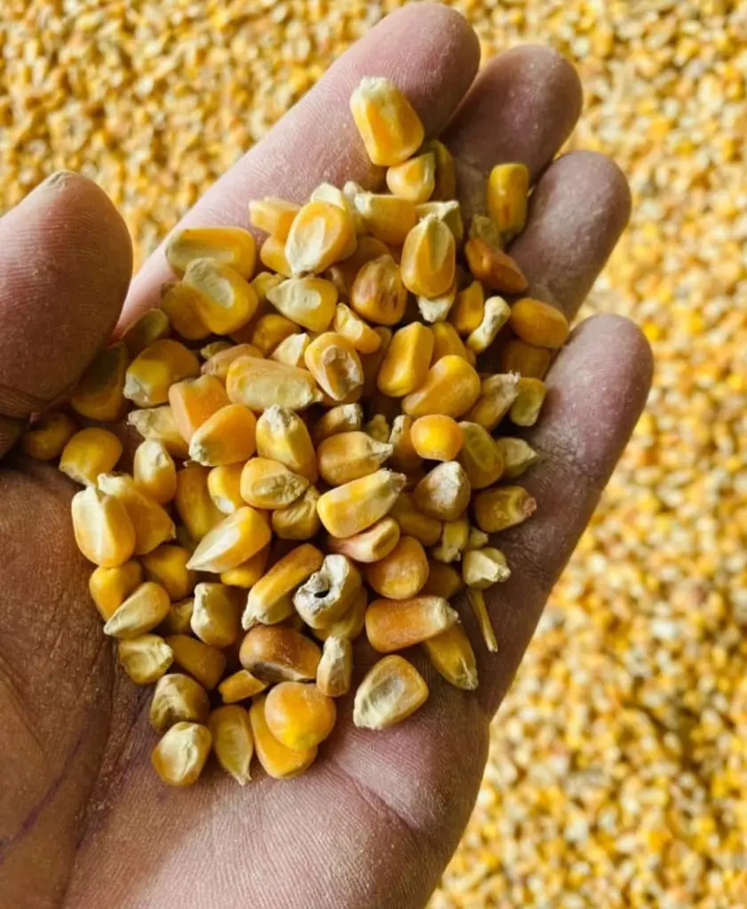 تصویر شماره 1 محصول 