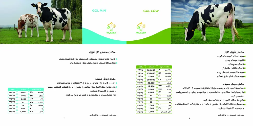 تصویر شماره 1 محصول 