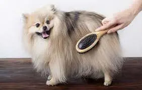 تصویر شماره 2 محصول 