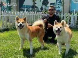 تصویر شماره 4 محصول 