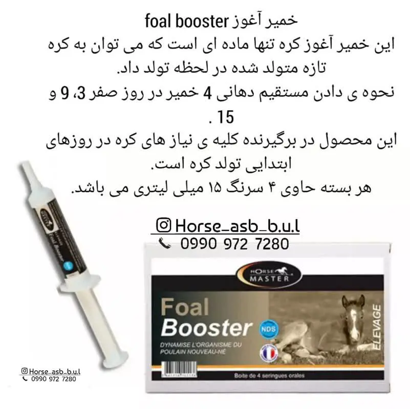 تصویر شماره 1 محصول 