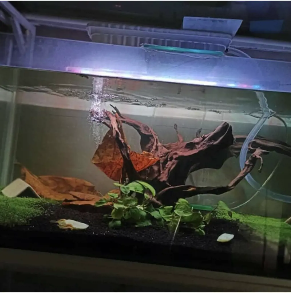 تصویر شماره 2 محصول 