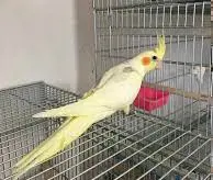 تصویر شماره 3 محصول 